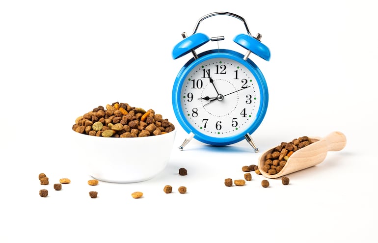 Hora de comer.