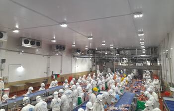 Frigoríficos habilitados trabajan en el proceso del envío de carne paraguaya a Estados Unidos.