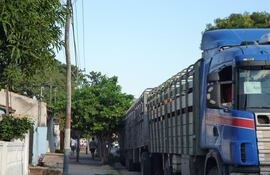Los transportistas del sector ganadero expresan preocupación por disminución del hato ganadero.