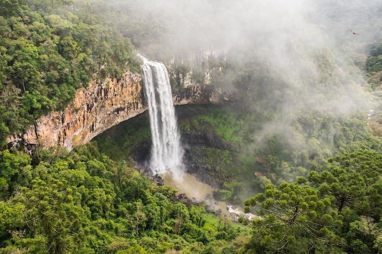 Vista de la cascada de Cascata do Caracol con niebla en el Parque Caracol - Canela, Brasil.