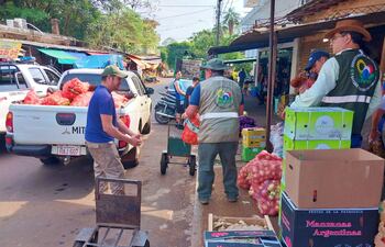 Funcionarios del Senave y agentes de Delitos Económicos de la Policía, durante la incautación de cebollas de contrabando en VIllarrica.