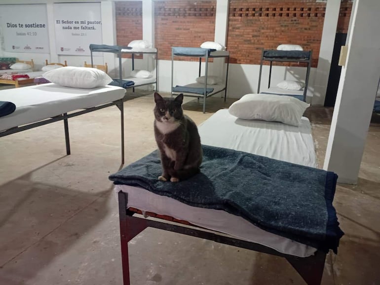 Habilitan albergue en Asunción: estos son los servicios gratuitos disponibles - Nacionales