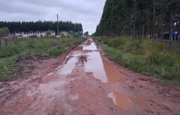 Camino rural en Remansito con acumulación de agua a los lados, rodeado de vegetación y bajo un cielo nublado.