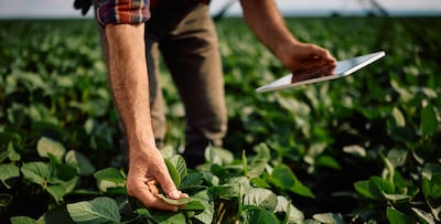 El conocimiento estructurado se convierte en el diferencial competitivo más sólido para quienes estamos en el agronegocio.