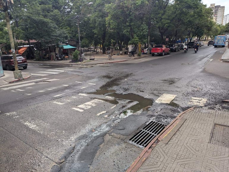 Calle Oliva con charco de agua y marcas de cebra desgastadas, rodeada de vehículos y árboles.