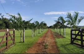 La tragedia ocurrió en la Quinta Tío Monti, ubicada en el kilómetro 14, lado Monday de Minga Guazú.