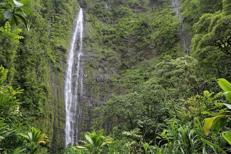 Waimoku, Maui, Hawái.