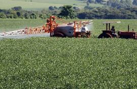 Comisión Europea propone renovar por 10 años autorización del glifosato en la UE. (archivo)