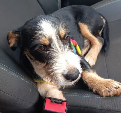 Su familia lo espera de vuelta a casa.