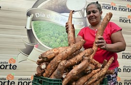 La mandioca es un alimento que se consume en casi todos los hogares del país.