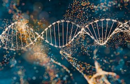 Concepto de genética.