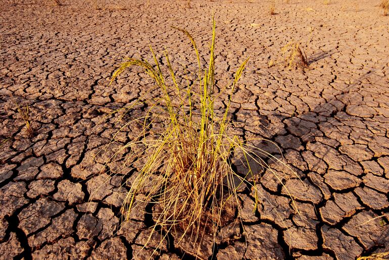 El Niño y La Niña: cuáles son sus diferencias y cómo afectan al clima.
