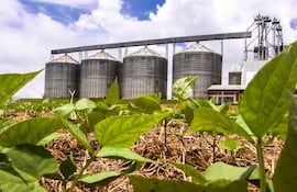 La agricultura lideró el avance económico, liderado por la producción récord de soja