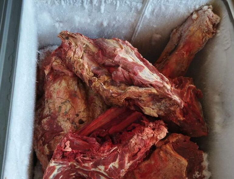 La mayor parte del producto cárnico fue ubicada en un congelador de la vivienda del sospechoso