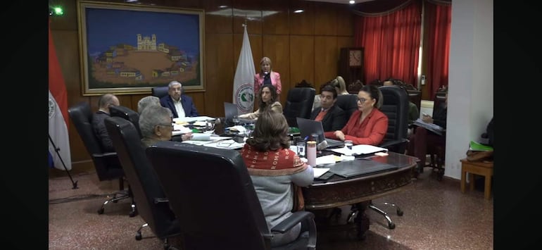 Isaías Ricardo Fretes y Bettina Albertini en reunión, ella con saco rosa, discutiendo documentos en mesa rodeada de personas en ambiente formal.