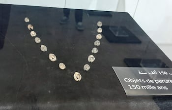 Las 32 cuencas de conchas marinas perforadas (Nassarius gibbosulus) -de unos 5 centímetros de talla- que fueron encontradas en la cueva de Bizmoune expuestas en la Necrópolis de Chellah en Rabat.