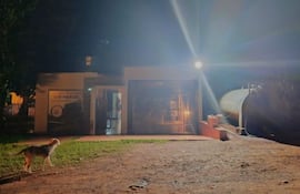 Escena nocturna con perro en primer plano frente a una construcción iluminada, sin personas visibles.