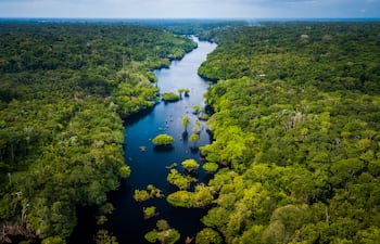 Amazonas, Brasil.