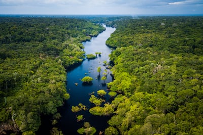 Amazonas, Brasil.