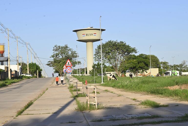 El Estado ya invirtió fortuna en el expredio del IPS.