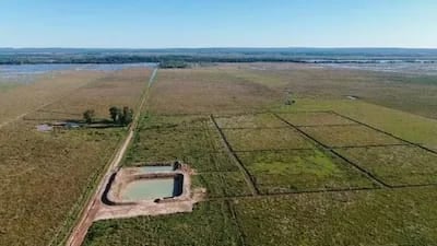 Así se veía la zona donde se pretendía hacer un vertedero en Arroyos y Esteros.