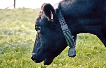 La estancia convertida en centro de datos