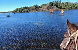 Inundación en Ñeembucú: varias comunidades rurales están bajo agua a raíz de una supuesta creciente artificial.