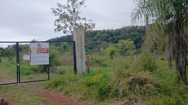 En el área fueron identificadas más de 150 especies de aves, entre residentes y migratorias.
