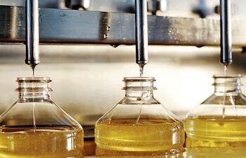 En un 16,2% trepó el incremento de las exportaciones de aceite.