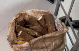 Mandioca: Buzarquis exige destitución de funcionarios que incautaron mandioca alegando “contrabando”