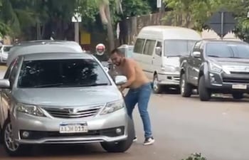 En medio del pánico, un hombre busca refugio en su vehículo durante la invasión de avispas.