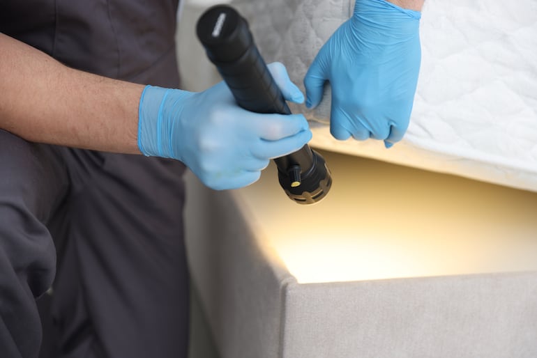 ¿Cuántos microorganismos comparten tu cama y cómo eliminarlos hoy mismo?