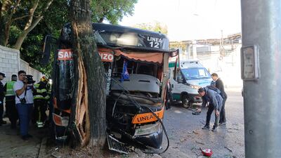 Colectivo colisionó contra un árbol sobre la avenida Mariscal López.