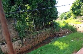 El canal del arroyo Capilla que cruza el área urbana de Carapeguá está colmatado y en la Municipalidad no atienden los pedidos de limpieza hechos por afectados, según denunciaron.