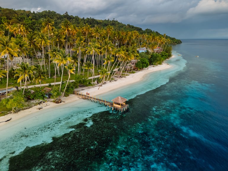 Sulawesi, Indonesia.