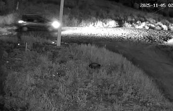 Una de las cámaras de los vecinos captó el momento de la huida de los asaltantes.