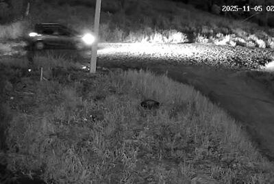 Una de las cámaras de los vecinos captó el momento de la huida de los asaltantes.