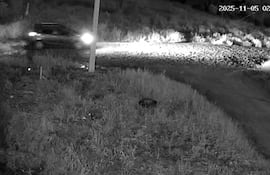 Una de las cámaras de los vecinos captó el momento de la huida de los asaltantes.