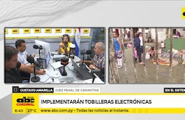 Tobilleras electrónicas en el sistema penal