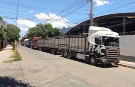 transganados en tablada
De LUIS LOPEZ NERY HUERTA <luis.lopez@abc.com.py>
Destinatario ABC Foto <foto@abc.com.py>
Fecha 26-01-2026