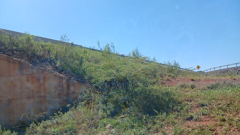 Elevación de la ruta PY02 sobre la calle Maristas, en Coronel Oviedo, en pésima situación.