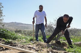 UMM AL KHEIR (-), 02/02/2026.- Fuerzas israelíes impidieron este lunes a unos 35 integrantes de la ONG Rabinos por los Derechos Humanos plantar 300 árboles en la aldea palestina de Umm Al Khair, en la gobernación palestina de Hebrón, acosada desde hace años por la violencia de colonos israelíes. Posteriormente (en la imagen) rabinos lograron plantar una cantidad mínima de árboles en aldeas de Masafer Yata, pero no en la comunidad de Umm Al Kheir, donde tenían previsto hacerlo este lunes.EFE/ Magda Gibelli