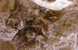 Esta imagen difundida por el Programa Prehistoria de Casablanca el 7 de enero de 2026 muestra la mandíbula ThI-GH-10717 durante su excavación en Thomas Quarry I – Hominid Cave. ¿Dónde surgió nuestra especie? Fósiles descubiertos en Marruecos, con más de 773.000 años de antigüedad, refuerzan la teoría de que Homo sapiens apareció originalmente en África, según indicaron científicos en un estudio publicado el 7 de enero de 2026.