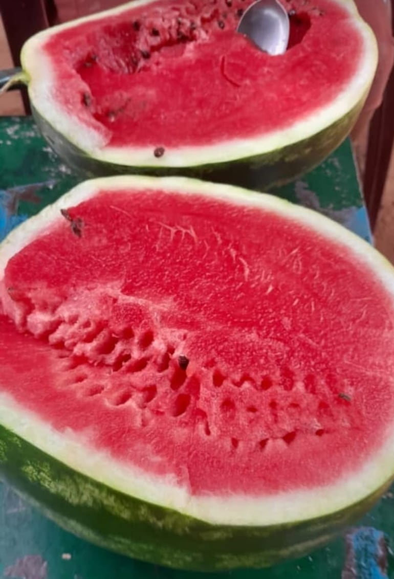 La sandía que producen en Altos se caracteriza por su pulpa roja, fresca y de buen sabor.
