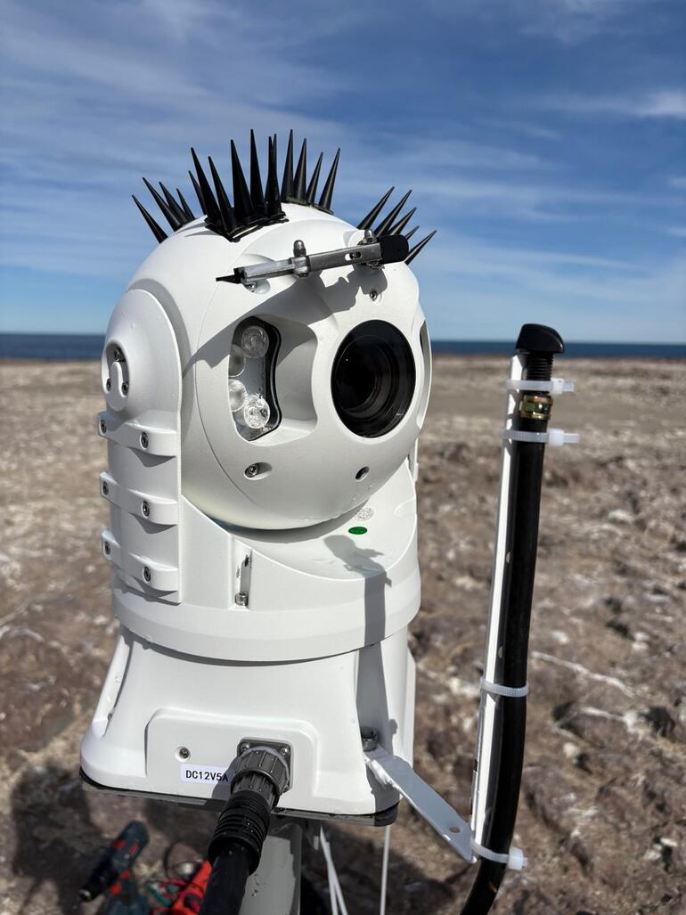 Parque Provincial Patagonia Azul, aves.