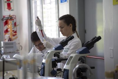 UniNorte se distingue por su producción científica, con docentes dedicados a la investigación y estudiantes que se inician en el rigor científico desde los semilleros universitarios.