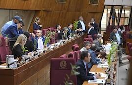 La Cámara de Diputados dio media sanción a la "Ley Mafe".