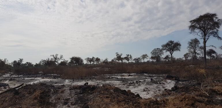 Superficie quemada tras un incendio forestal en el Chaco, en el 2022.