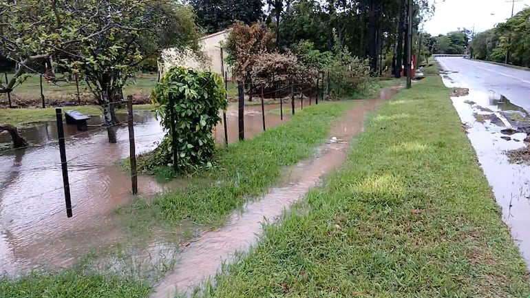 Entorno natural afectado por inundaciones, con césped verde, agua acumulada y árboles de fondo.