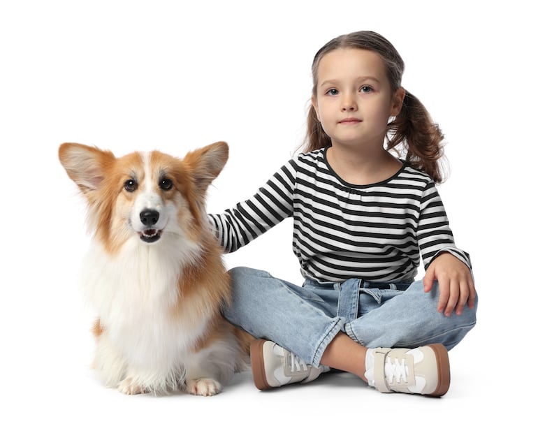 Visitas de Semana Santa sin estrés: cómo ayudar a tu perro o gato cuando la casa se llena.